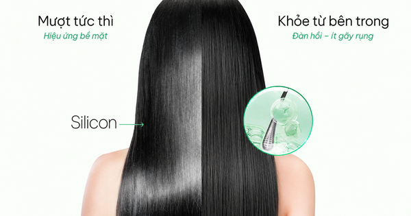 Tóc mượt ‘tức thì’ hay dày khỏe lâu dài: Sự thật về chứng rụng tóc từ thói quen gội đầu