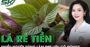 Loại lá rẻ tiền nhiều người dùng để làm đẹp, bác sĩ da liễu nói gì?