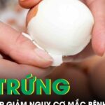 Ăn trứng thường xuyên có thể giúp giảm nguy cơ mắc bệnh Alzheimer