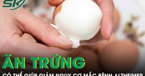 Ăn trứng thường xuyên có thể giúp giảm nguy cơ mắc bệnh Alzheimer