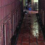 Kêu gọi đưa toàn bộ gấu nuôi nhốt ở Phúc Thọ, Hà Nội vào trung tâm cứu hộ