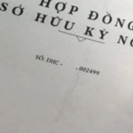 Hợp đồng kỳ nghỉ và những tổn thương không thể khỏa lấp của người già
