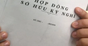 Hợp đồng kỳ nghỉ và những tổn thương không thể khỏa lấp của người già